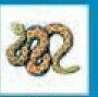 Animals Stock Temporary Tattoo - Wavy Rattle Snake (1.5"X1.5")