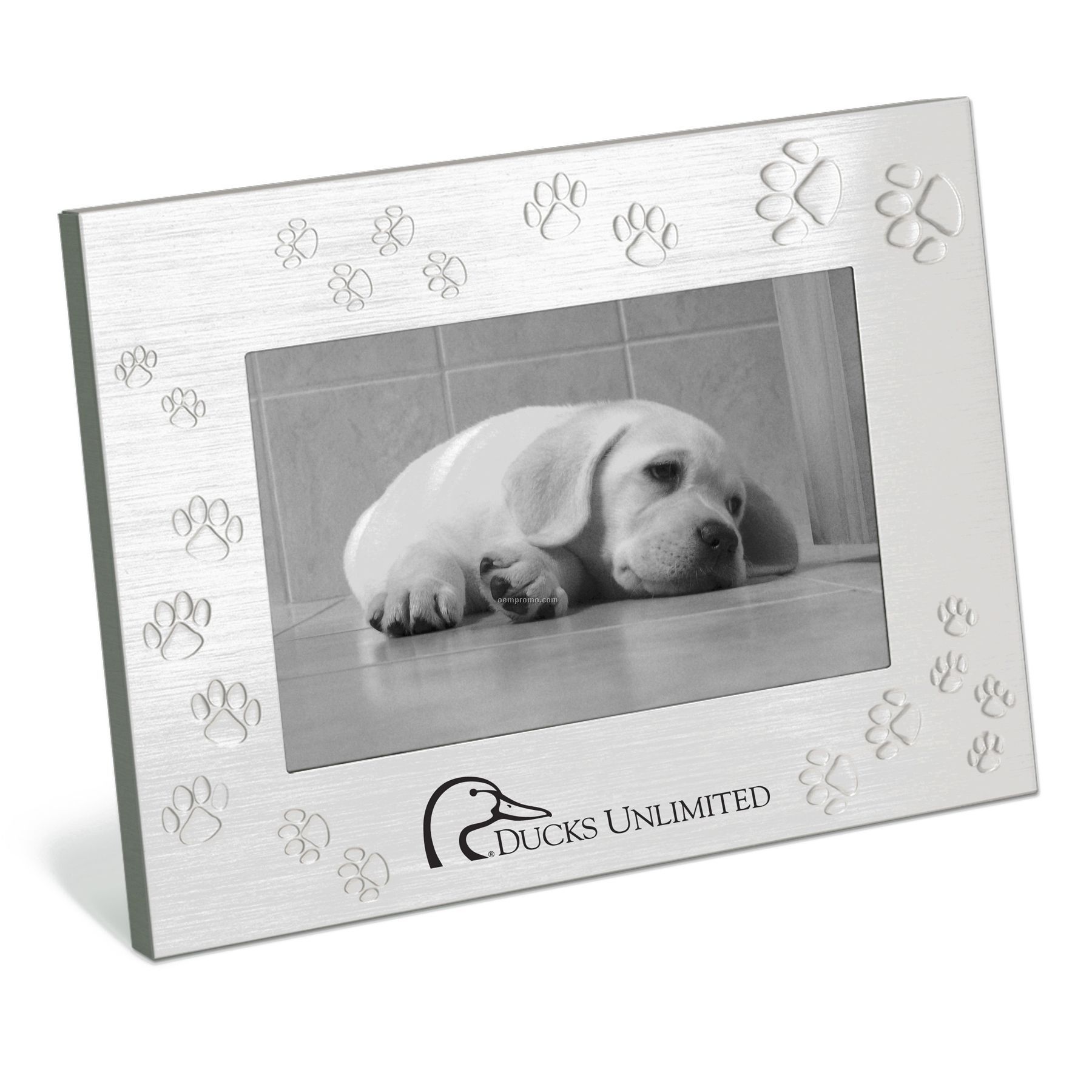 Photo Frame With Paw Prints