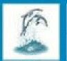 Animals Stock Temporary Tattoo - Jumping Dolphins (1.5