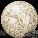 4" Fossil Marble Ball