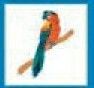 Bird Stock Temporary Tattoo - Macaw Parrot On Branch (1.5"X1.5")