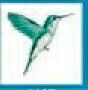 Bird Stock Temporary Tattoo - Flying Hummingbird (1.5"X1.5")