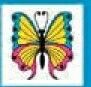 Stock Temporary Tattoo - Blue/ Pink Bordered Butterfly (1.5