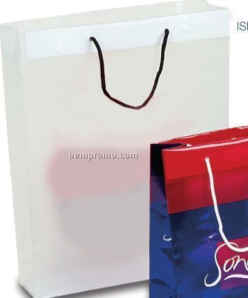 Frosted Clear Plastic Euro Shopping Bag /Rope Handles- 3.5 Mil (16,China Wholesale Frosted Clear ...