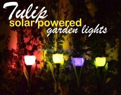 Set of 4 Tulip Solar Garden Lights